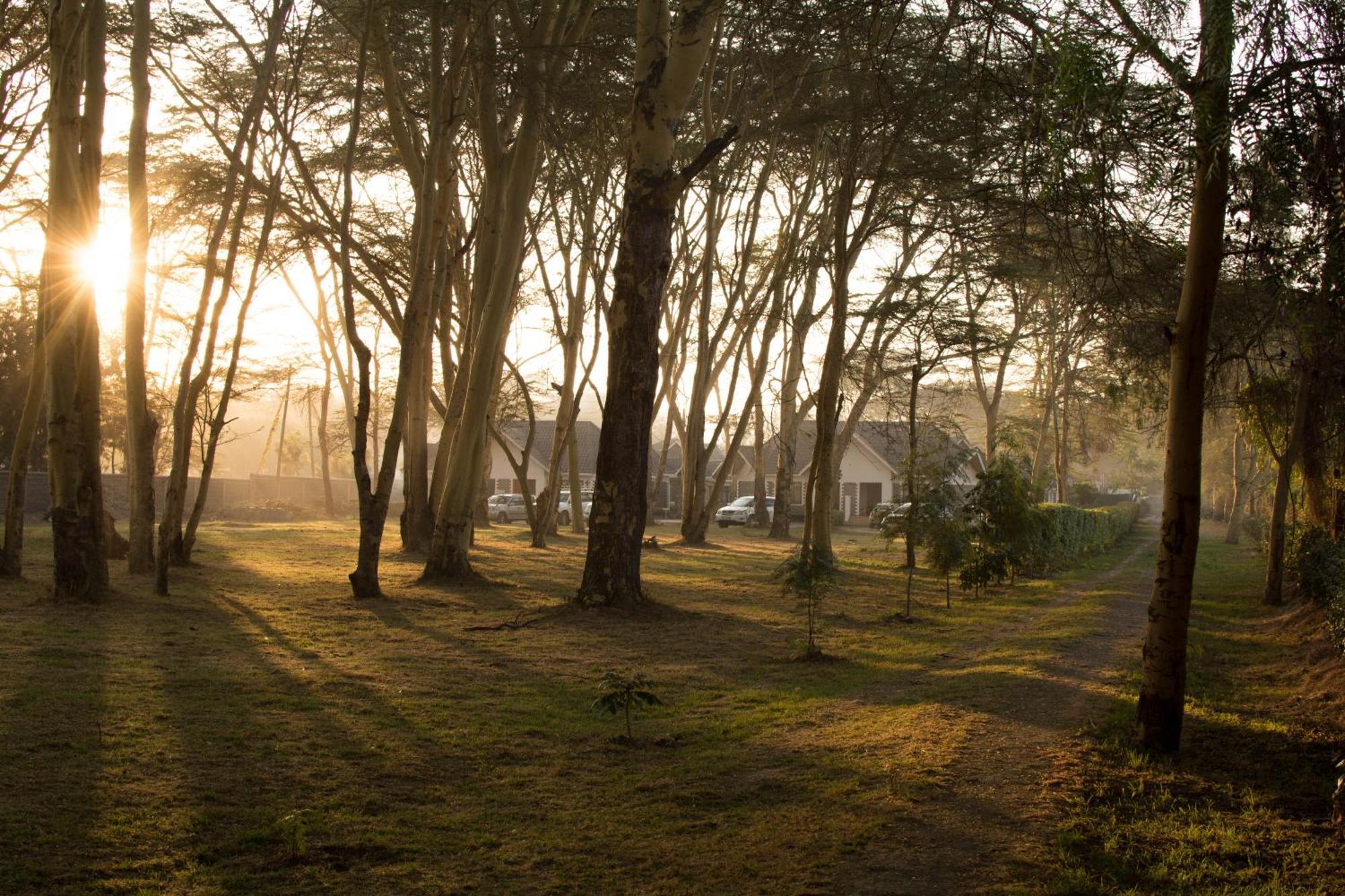 Burch'S Resort Naivasha Camping 外观 照片